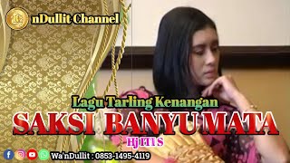 SAKSI BANYU MATA - Hj ITI S (nDullit Channel) #lagutarlingkenangan #tarlingpantura #tarlingindramayu