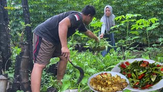 panen kangkung bersama suami, lanjut masak tumis kangkung saus tiram,tahu telur, masakan desa