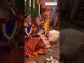 ಚಂದನ ಮದುವೆ ಖುಷಿ ನೋಡಿ chandana ananthkrishna marriage video chandana pratyaksh wedding video