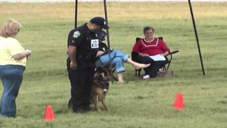 2008 USPCA Regionals - Obedience