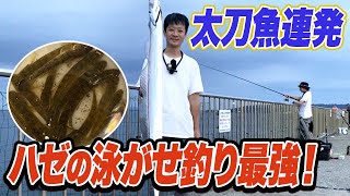 【横須賀うみかぜ公園】ハゼを泳がせた瞬間に太刀魚が食う！ハゼ泳がせ釣り最強説浮上！まさかのヒット率80%超え...