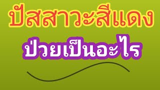 #ปัสสาวะเป็นเลือด #ปัสสาวะมีเลือดปน #โรคปัสสาวะเป็นเลือด