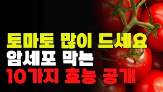 토마토 많이 먹으면 몸에 좋습니다 10가지 이유 대공개!