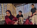💔🏥A Major Concern for the Chavil Family | Is Fatemeh Facing Fertility Problems? 🏥