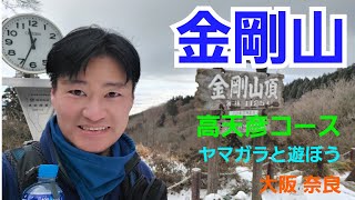 金剛山 高天道コース ヤマガラと遊ぼう🎵