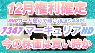 【12月権利確定】株主優待でQUOカードがもらえる投資会社マーキュリアHDは今の株価で買うべきか