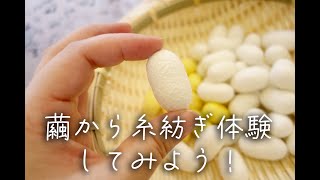 繭から糸紡ぎ体験★絹糸を作ろう！【NPO法人生きがいクラブCOSMO】