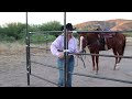 all horse owners need a round pen seven peaks fence and barn