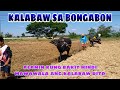 MGA GAMIT NG KALABAW SA BONGABON BUHAY BUKID JRTV