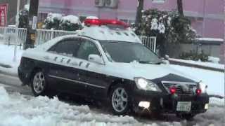 2013年1月14日 関東に雪が降る