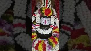 காத்மாண்டு ஸ்ரீ பசுபதி நாத் புகைப்படம்