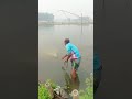 expert village fisherman catching fish best net fishing video traditional net fishing videos