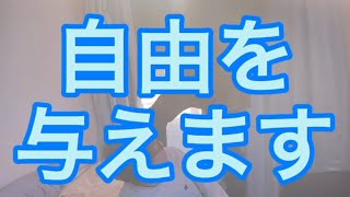 【ルームシェア】カッコよくカーテンを開ける選手権【暇つぶし】