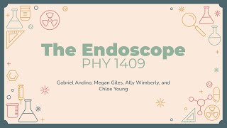 Physics Applied to Medicine: The Endoscope