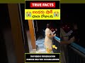 😲ఇంట్లో అందరు షాక్😲 girl surprised family factsintelugu amazingfacts truefacts shorts