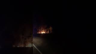 House Fire Charlton Ga