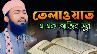 তেলাওয়াত।এ এক আজিব সুর।মুফতি ইমামুল হক সাইদ। mufti imamul hapue said। new telawt 2024