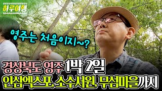 ▲ 🛤 하루여행 첫 바깥 나들이 / 경상북도 영주 1박2일! / 인삼엑스포 소수서원 무섬마을까지 🛤 직접 체험해보겠습니다 ▲ 하루여행 ep.6