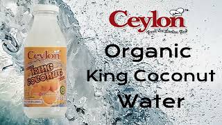 Ceylon Organic King Coconut Water