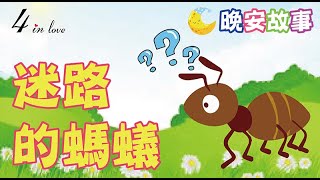 E媽說故事📖《迷路的螞蟻》睡前故事│晚安│寶寶故事│中文童話│床邊故事│兒童故事│寶貝故事_cc字幕