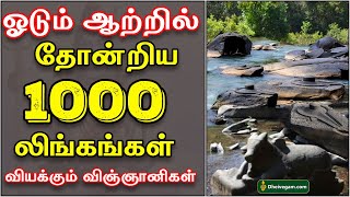 ஓடும் ஆற்றில் தோன்றிய 1000 லிங்கங்கள் - வியக்கும் விஞ்ஞானிகள்