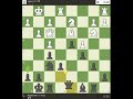 19 Moves Check-Mate #quickchess #maxchess790 #chess #chesscom