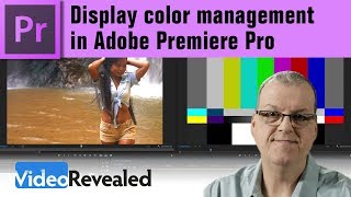 Display color management in Adobe Premiere Pro