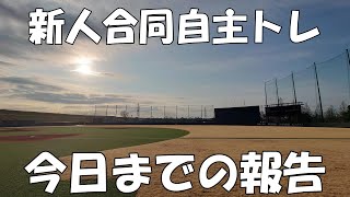 ヤクルト新人合同自主トレ 今日までの報告