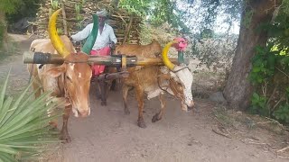 mattu vandi seru water karumbu lobu Mr mattu vandi