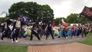 名大祭らんまつり２０１７　【総踊り】　セントレア