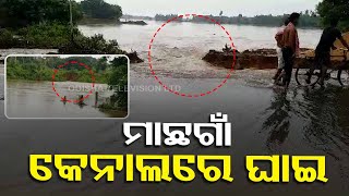 Roads \u0026 market area flooded after breach in Machhagaon canal at 2 places in Jagatsinghpur