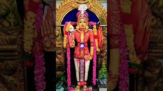 சொல்லச் சொல்ல இனிக்குதடா முருகா  #muruga #shorts #bhakti #murugansongs