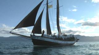 North Sailing - Husavik Whale Watching