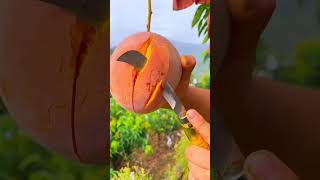 Amazing Mango🥭 cutting #mango #wildlife #fruit blox fruits