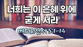 매일성경 베드로전서 5:1–14 [너희는 이 은혜 위에 굳게 서라]