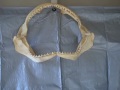 great white shark jaw of epic size.