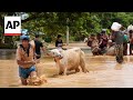 Death toll rises to at least 113 in Myanmar from Typhoon Yagi