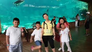 River Safari - Singapore 2018 0519