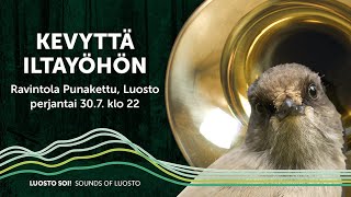 Konserttiesittely: Kevyttä Iltayöhön