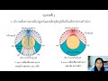 โครงสร้างโลก ใบงานที่ 1