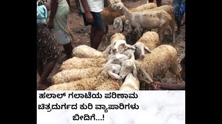 Sheep traders on street #muslimbanned #chitradurgasheep market