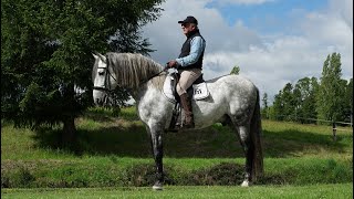 Criadores, Yeguada Manhue, caballos Pura Raza Española