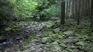 龍鎮渓谷(奈良県宇陀市)