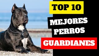 LAS 10 RAZAS DE PERROS GUARDIANES MÁS FIERAS Y PROTECTORAS