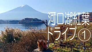 河口湖紅葉ドライブ①