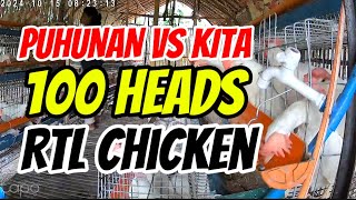 MAGKANO NGA BA ANG PUHUNAN SA 100 HEADS NA RTL CHICKEN AT MAGKANO NGA BA ANG KIKITAIN?