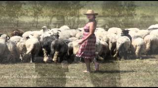 Sateliti - Cobanice, cuvaj ovce svoje - (Official video 2014)