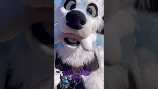 How Is The Convention