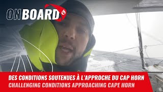 Des conditions soutenues à l'approche du cap Horn pour Guirec | Vendée Globe 2024