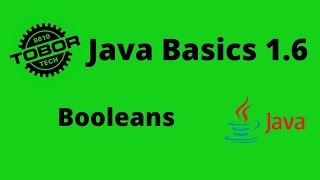 Booleans - Java Basics 1.6